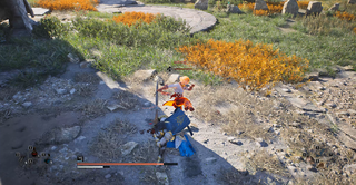 ArcheAge Chronicles PvP
