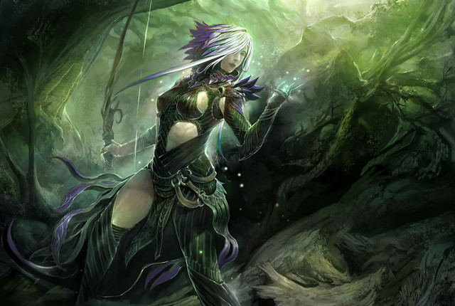 Images de Guild Wars 2