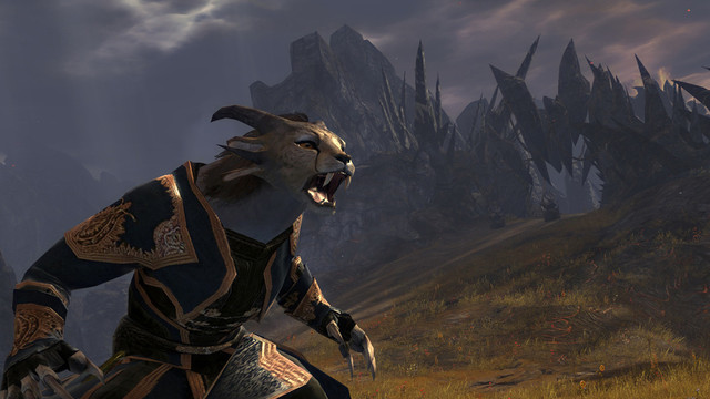 Images de Guild Wars 2