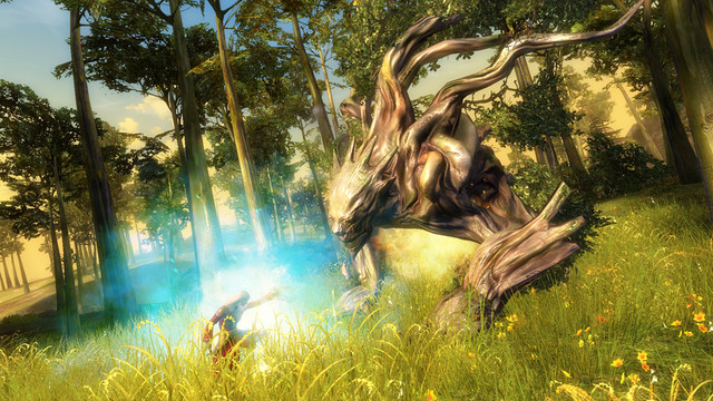 Images de Guild Wars 2