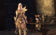 Images de Guild Wars 2