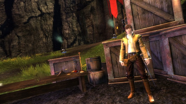 Images de Guild Wars 2