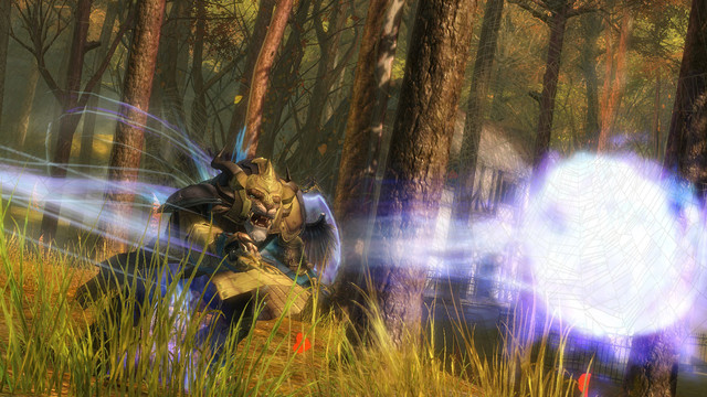 Images de Guild Wars 2