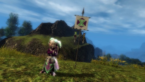 Guild Wars 2 - Guildes et méga-serveur dans le Pack de fonctionnalités