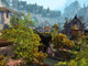 Image de Guild Wars 2 #28618