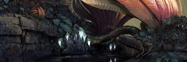 Images de Guild Wars 2