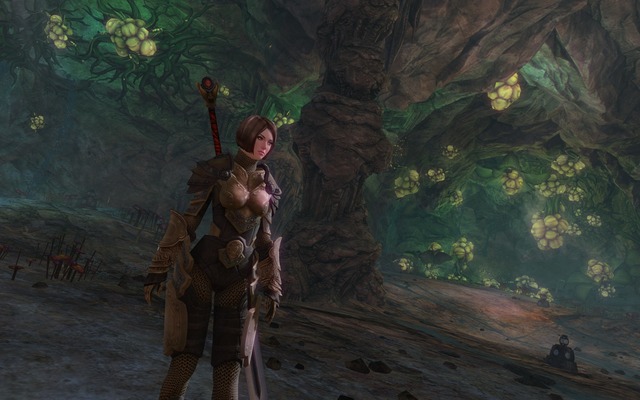 Images de Guild Wars 2