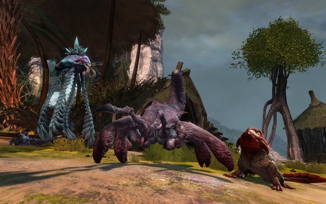 Images de Guild Wars 2