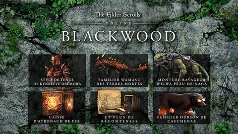 The Elder Scrolls Online: Les Portes d'Oblivion - Promo Gamesplanet : -10% sur la prochain extension Blackwood d'Elder Scrolls Online