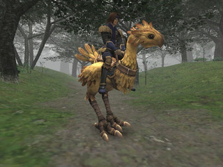 Un Chocobo