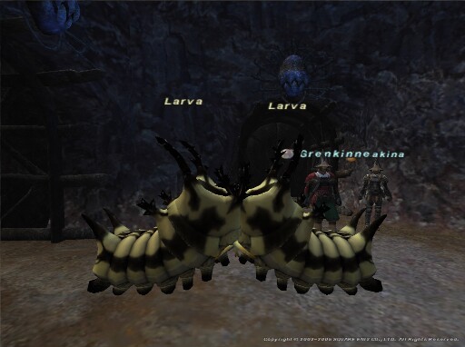 Images de Final Fantasy XI