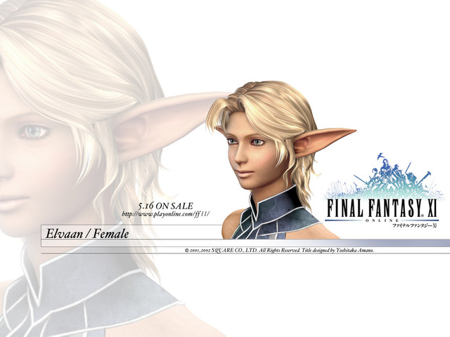 Images de Final Fantasy XI