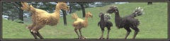 Creuser avec son chocobo et jardiner