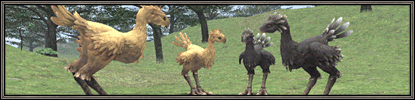 Final Fantasy XI - Creuser avec son chocobo et jardiner
