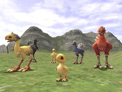 Modifications et ajouts à l'élevage de Chocobos