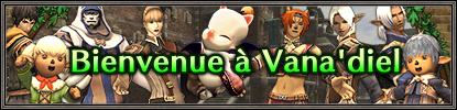 Final Fantasy XI - Jouez en français ou en allemand !