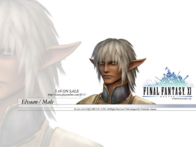 Images de Final Fantasy XI