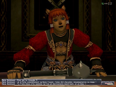 Final Fantasy XI - Interview de Hirochimi Tanaka et Sage Sundi.