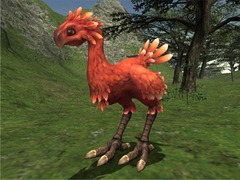 Ajouts et modifications sur les Chocobos