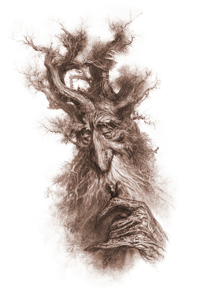 Treebeard