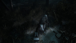 Maid of Sker - Capture sur Xbox Series S