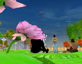 Image de HiPiHi World #6602