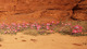 Image de Dune Awakening #176379