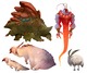 Concepts - Creatures02