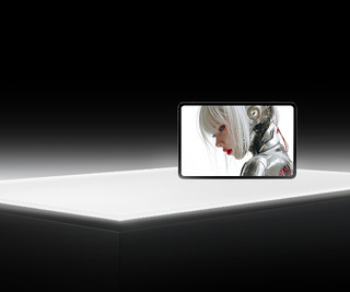 VisualAssets 1600Nits