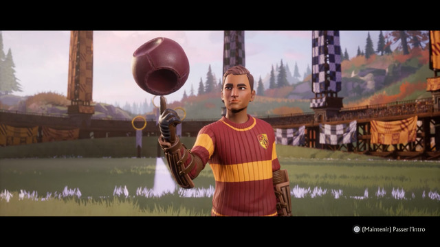 Images de Harry Potter: Quidditch Champions