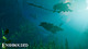UPDATE 7 GC 04