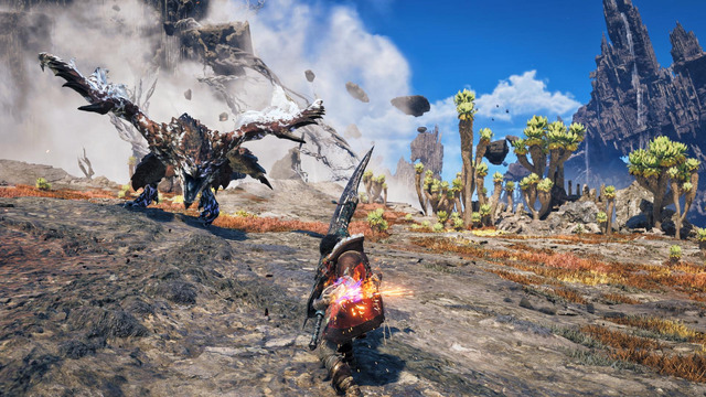 MHWA 01 SS 012 2