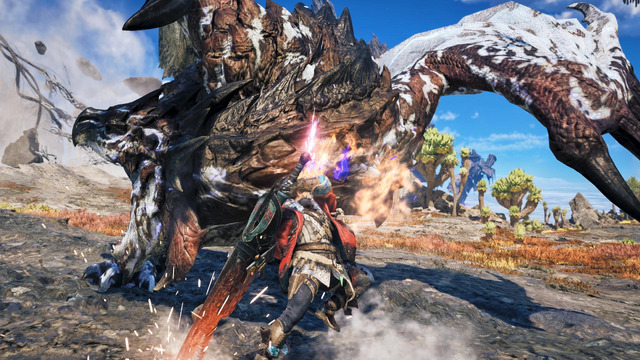 MHWA 01 SS 013 2