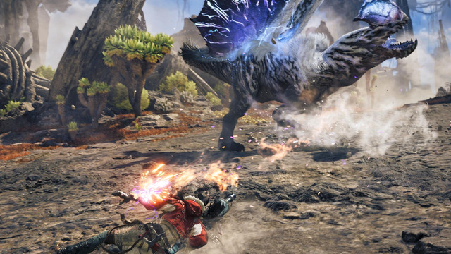 MHWA 01 SS 014 2