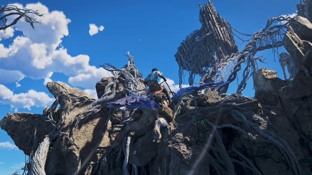 MHWA 01 SS 002
