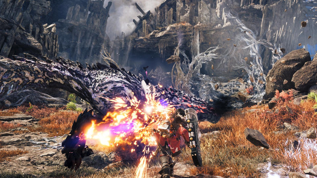 MHWA 01 SS 015 1