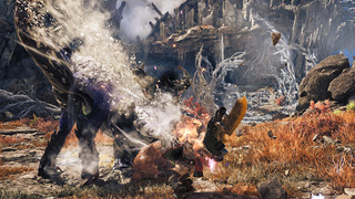 MHWA 01 SS 015 2