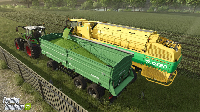 FS25 Crops Peas loading 02 en