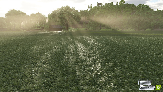 FS25 Crops Peas Field en