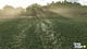 FS25 Crops Peas Field en