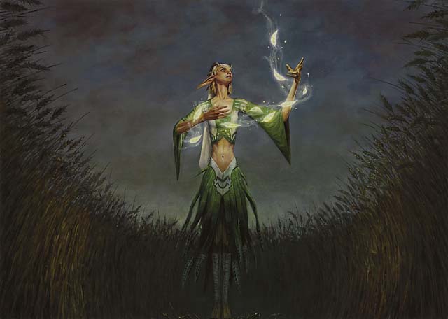 Illustration de la Seedcradle Witch