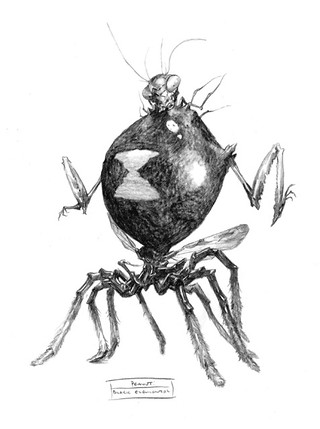 Élémental Shadowmoor