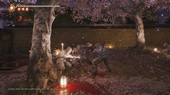 NINJAGAIDEN2Black_20250201173616.png