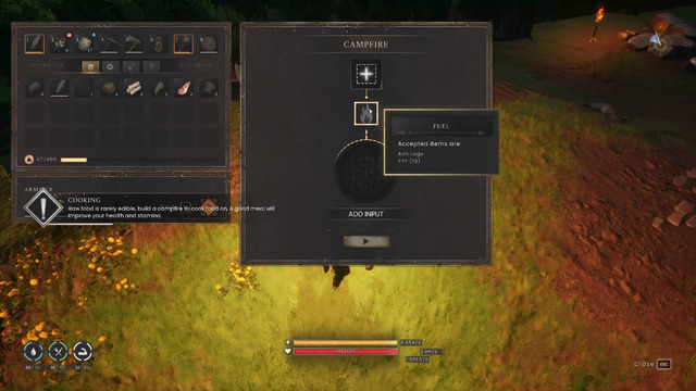 Dragonwilds3