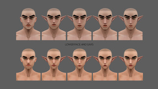 Dragonwilds charactercustomisation Runefest charactercustomisation faces