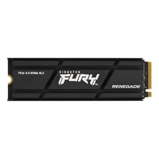 SFYRDK 2000GB zm lg
