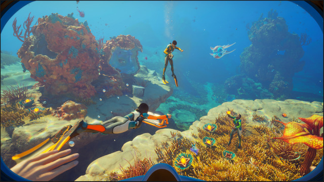 SN2 Coral Gardens with Friends 4K