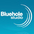 Logo Bluehole Studio