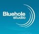 Logo Bluehole Studio