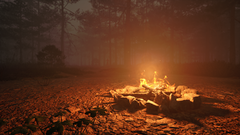 Aperçu d'Ardena : Quand la forêt vous observe